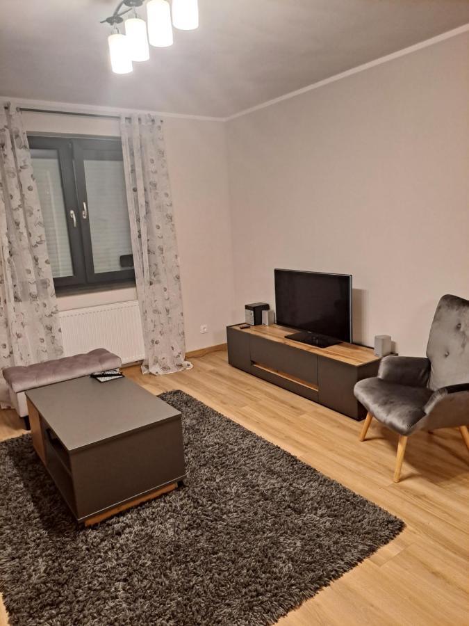 ילנייה גורה Apartament Sarna מראה חיצוני תמונה